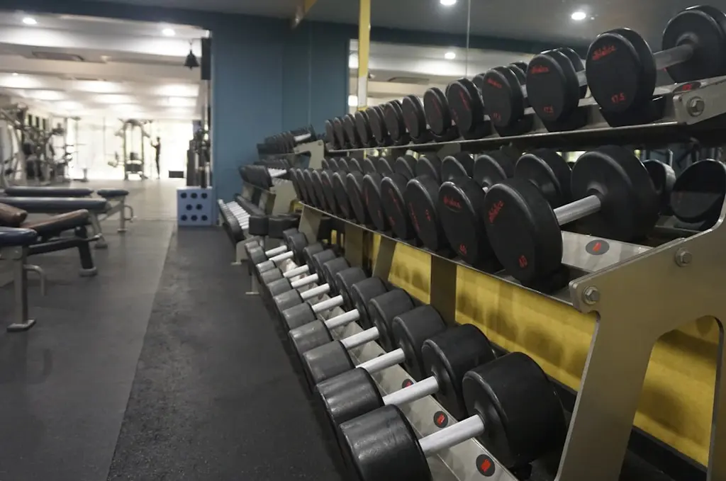 Entrenamiento Personalizado para Cada Objetivo